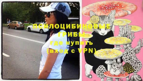 стафф Заволжск