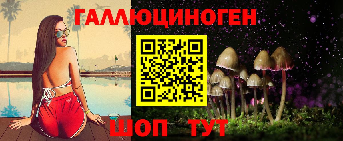 Псилоцибиновые грибы мицелий  Вход с VPN  Каменск-Шахтинский 