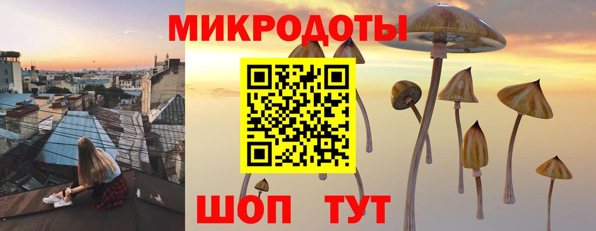 Псилоцибиновые грибы Magic Shrooms Каменск-Шахтинский